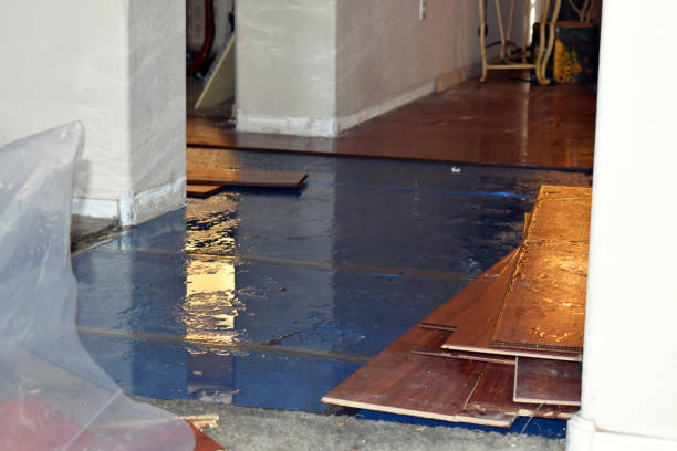 Professional Sewage Cleanup technician working in Clyde, NC